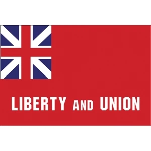 Special Historical Stick Flag - Taunton