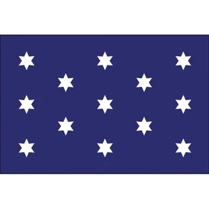 Special Historical Stick Flag - Washington's Commander