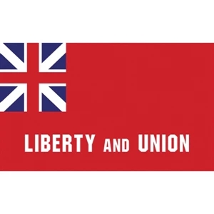 Special Historical Flags - Taunton