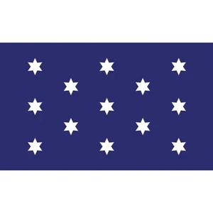 Special Historical Flags - Washington's Commander & Chief