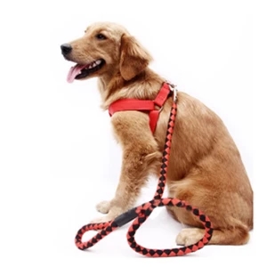 Dog Leash Collar
