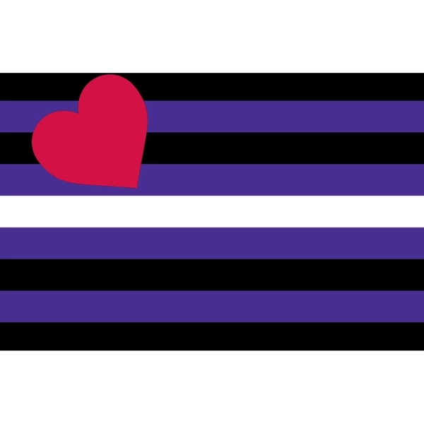 Leather Pride Deluxe Flag - Image 2