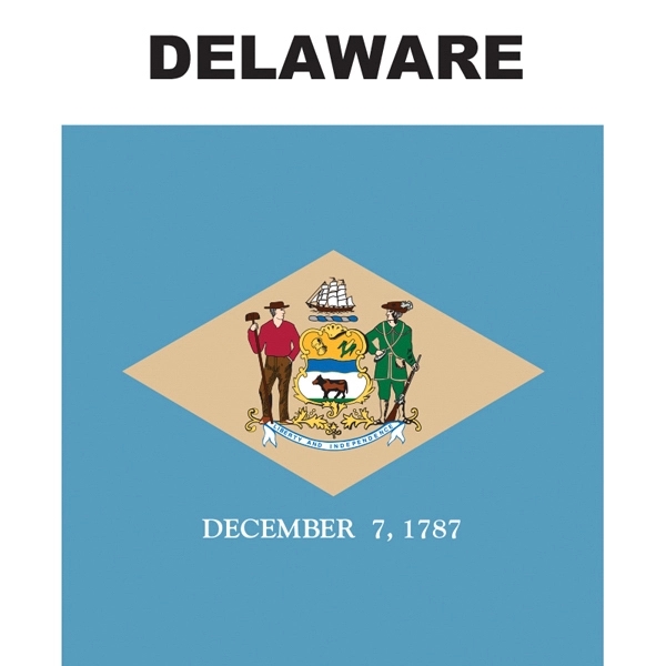 Mini Banner - Delaware