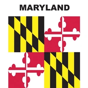 Mini Banner - Maryland