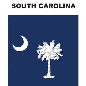 Mini Banner - South Carolina