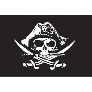 Pirate Hat Flag