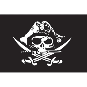 Pirate Hat Motorcycle Flag