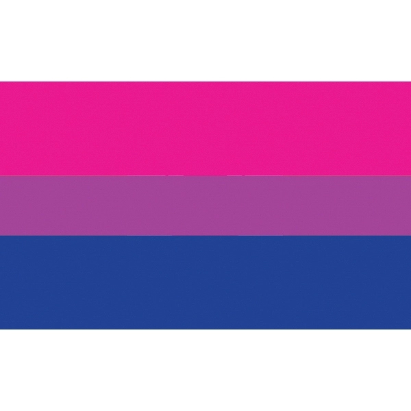 Bisexual Flag - Image 2
