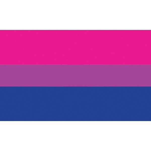 Bisexual Motorcycle Flag