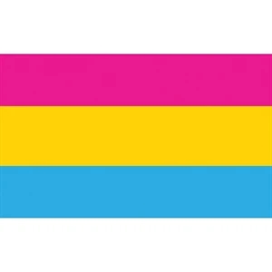 Pansexual Motorcycle Flag