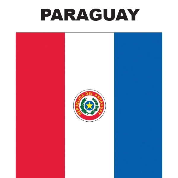 Mini Banner - Paraguay