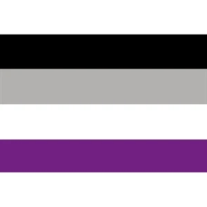 Asexual Motorcycle Flag