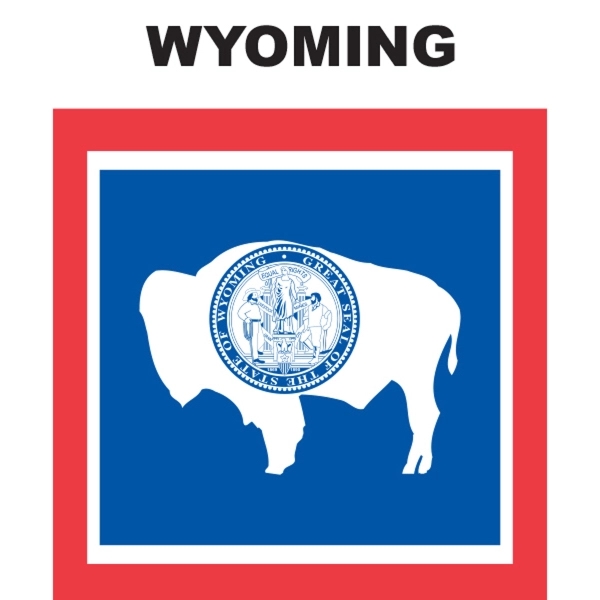 Mini Banner - Wyoming