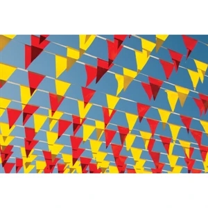 30' Semi-Stock Pennant Streamers with 12 Pennants