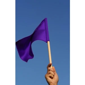 6" x 9" Stock Attention Stick Flags - wPoly