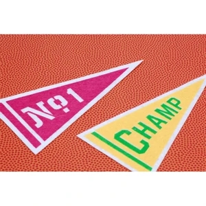17" x 40" Wool Felt Pennant without Pole - Class C