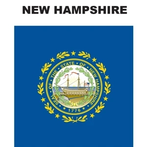 Mini Banner - New Hampshire