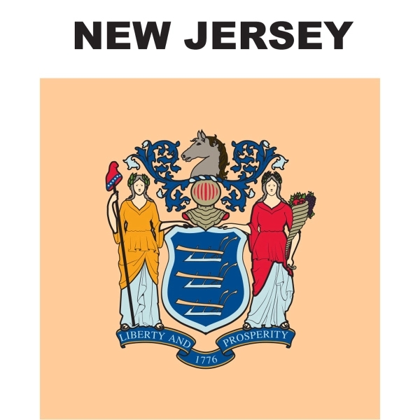 Mini Banner - New Jersey