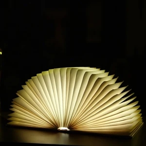 Folding Book Light