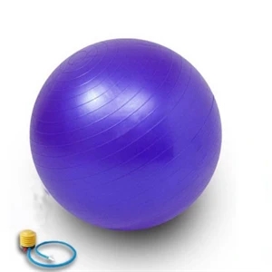 Anti-burst Yoga Ball with Pump