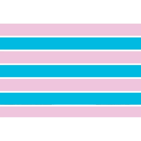 Transsexual Deluxe Flag