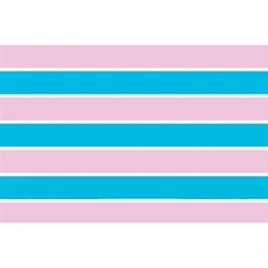 Transsexual Motorcycle Flag