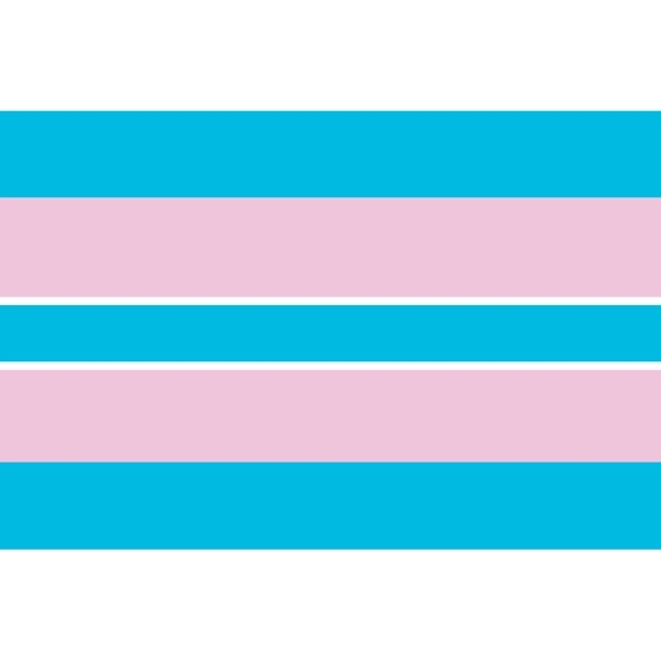 Transgender Motorcycle Flag