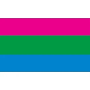 Polysexual Motorcycle Flag