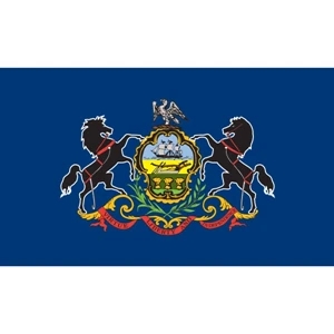 Pennsylvania Official Flag Kit