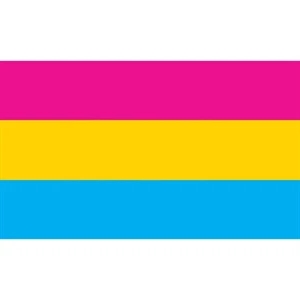 Pansexual Deluxe Flag