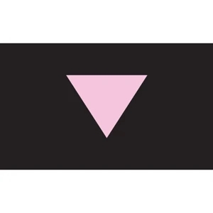 Pink Triangle Deluxe Flag