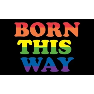 Born This Way Motorcycle Flag