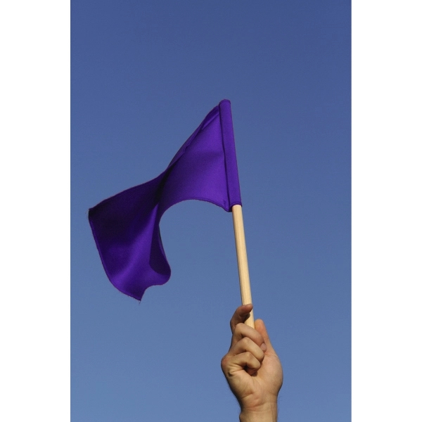 8" x 12" Stock Attention Stick Flags - wPoly
