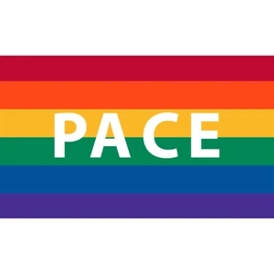 Pace Motorcycle Flag