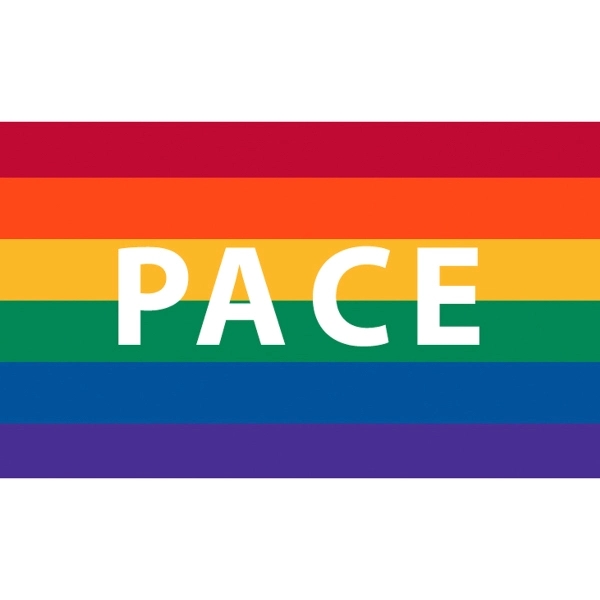 Pace Premium Car Flag