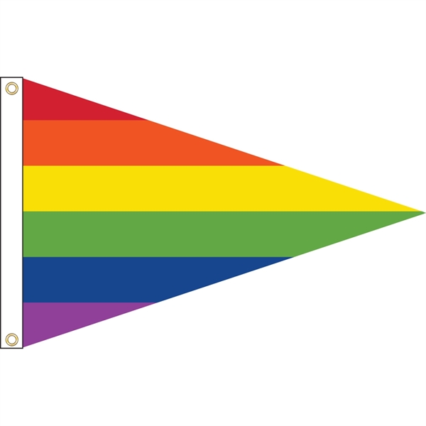 Rainbow Pennant Flag