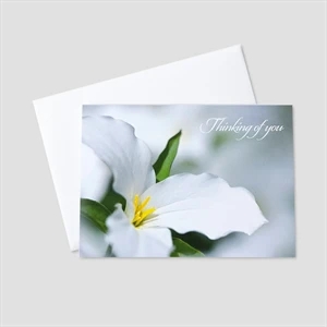 Lily Flower Get Well Greeting Card