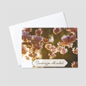 Blossoming Well Wishes Get Well Greeting Card