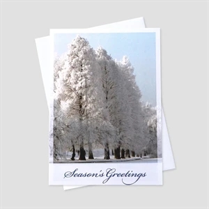 Winter Wonderland Holiday Greeting Card