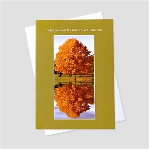 Reflection Tree Thanksgiving Greeting Card