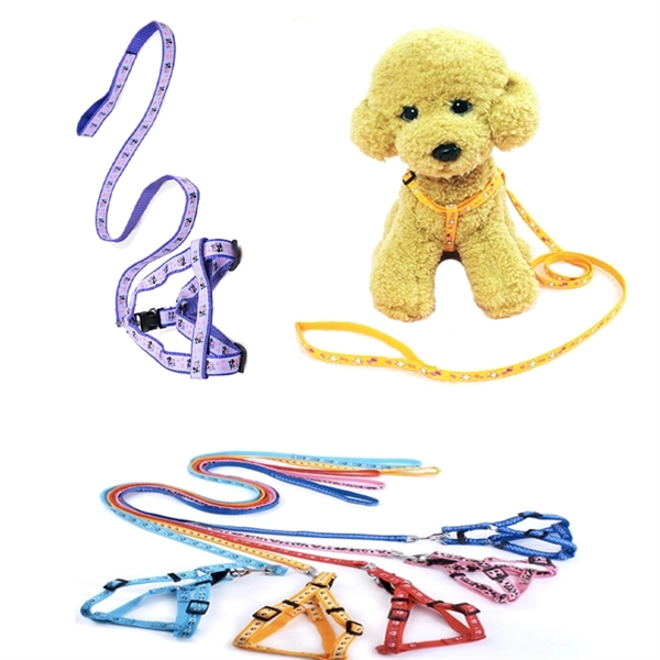 Dogs Leash with Collar