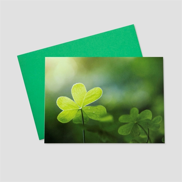 Shining Shamrock St. Patrick's Day Greeting Card