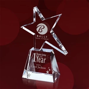 Libra Star Award