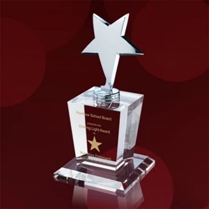 Baywell Award - Optical/Chrome