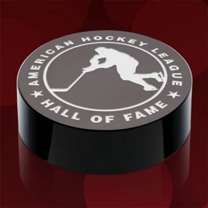 Hockey Puck Award
