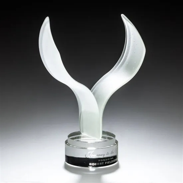 Aerial Award - Image 3