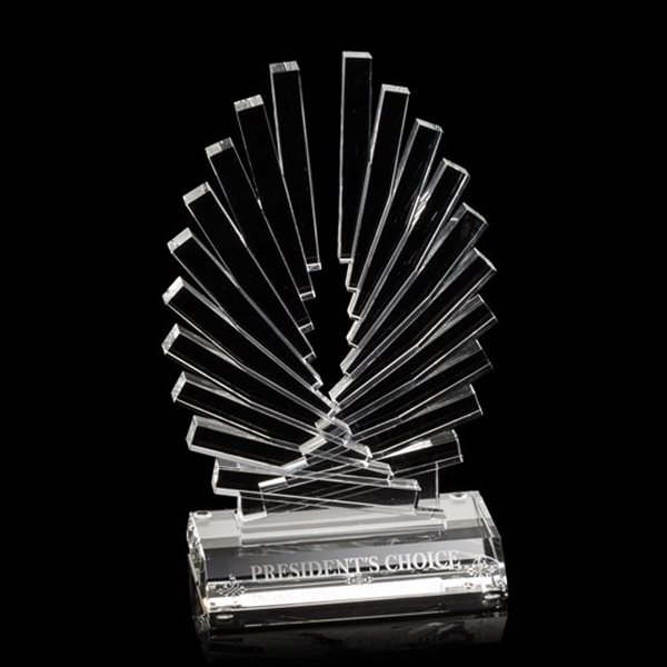 Accolade Award - Optical - Image 2