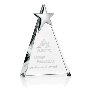 Zenith Award - Medium