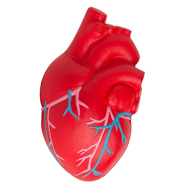 Squeezies® Heart (Anatomical with Veins) Stress Reliever - Image 1