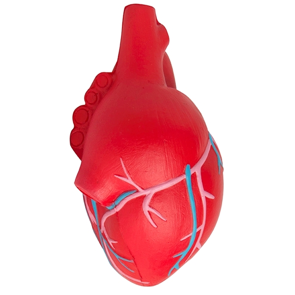 Squeezies® Heart (Anatomical with Veins) Stress Reliever - Image 2